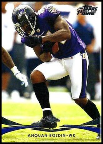 12TPR 102 Anquan Boldin.jpg